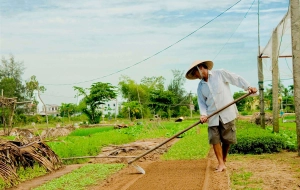 Voyage Vietnam 3 semaines: Découverte de la vie rurale du Vietnam