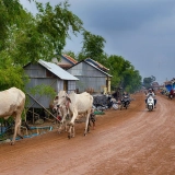 Circuit Cambodge - Laos : remontée le Mékong 14 jours