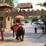 Mini - circuit à Ayutthaya: une journée au village des éléphants et marché flottant