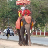 Mini - circuit à Ayutthaya: une journée au village des éléphants et marché flottant