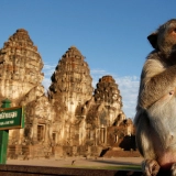 Excursion à Lopburi: visite d'une demi-journée au temple des singes de Lopburi