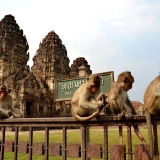 Excursion à Lopburi: visite d'une demi-journée au temple des singes de Lopburi