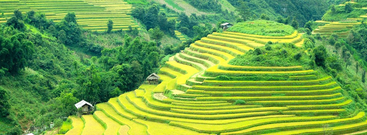 Sapa excursion banner