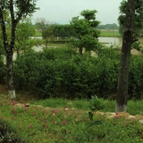 Excursion à Hanoi: Jardin de la lune