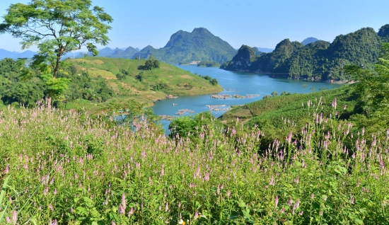 Une journée à Hoa Binh : Aventure nature et randonnée à Da Bac