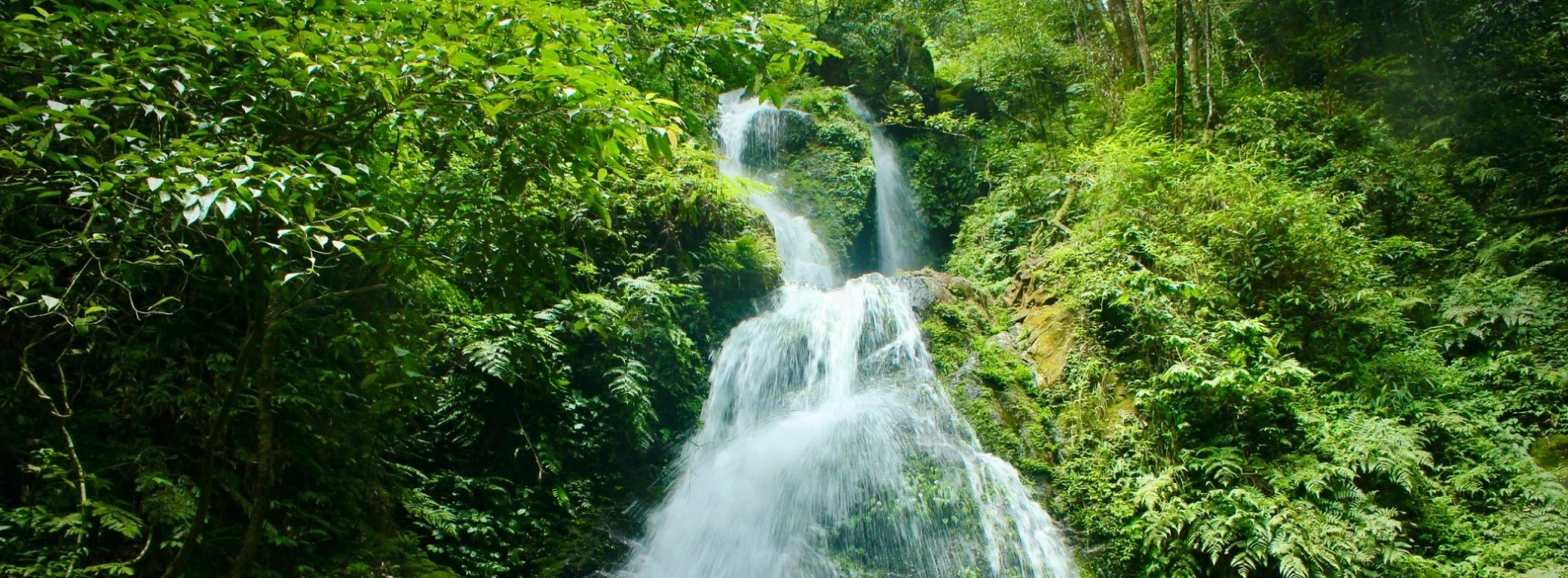 Parc national de Vu Quang