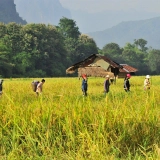 Voyage au Nord du Laos 5 jours : Camping dans la jungle de Nam Ha