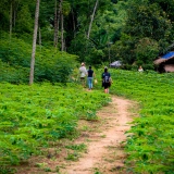 Mini circuit à Mai Chau 3 jours: Exploration la nature et la culture locale