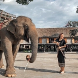 Courte visite à Dak Lak : Aventure nature et culture 2 jours