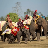 Itinéraire à Luang Prabang 4 jours : Voir les éléphants