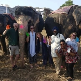 Itinéraire à Luang Prabang 4 jours : Voir les éléphants