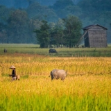 Voyage hors des sentiers battus au Laos une semaine : Découverte du centre et sud