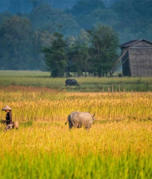 Voyage au Laos en 9 jours : découverte du centre et sud