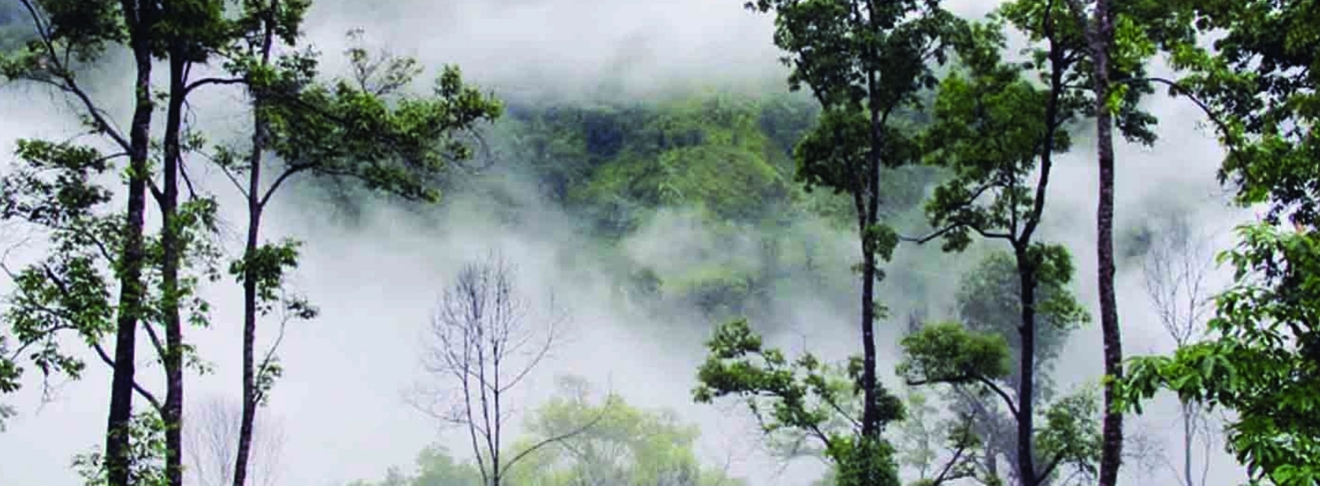 La zone de réserve naturelle de Muong Te