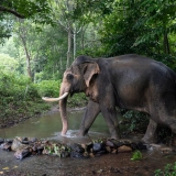 Circuit à Khao Lak 3 jours et 2 nuits: exploration de la nature de la baie Phang Nga