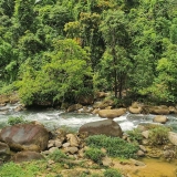 Circuit au parc national Khao Sok : 2 jours pour découvrir le lac Cheow Lan