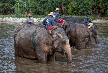 Chiang Mai - Pai (-/L/D)