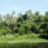 Udon Thani 3 jours 2 nuits : Voyage  des sites historiques naturel au cœur de l'Isans