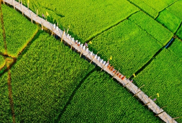 Mae Hong Son (B/L/D)