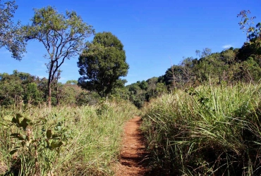 Phnom Penh - Mondulkiri (B / L)