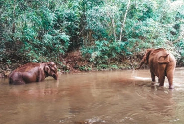 Mondulkiri (B / L)