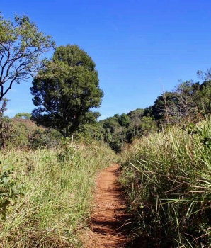 Mondulkiri 4 jours 3 nuits de trekking : Évasion nature au Cambodge