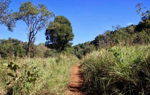 Mondulkiri 4 jours 3 nuits de trekking : Évasion nature au Cambodge