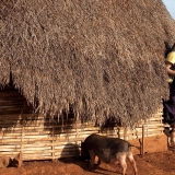 Mondulkiri 4 jours 3 nuits de trekking : Évasion nature au Cambodge