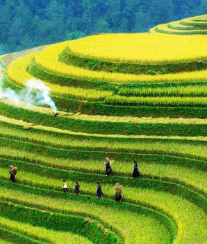 Trekking à Mu Cang Chai 4 jours: La route des rizières en terrasse