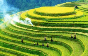 Trekking à Mu Cang Chai 4 jours: La route des rizières en terrasse