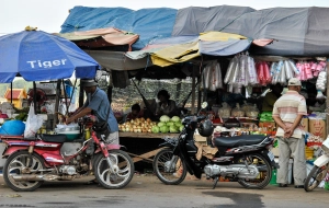 Kratie 2 jours 1 nuit : Voyage en vélo autour Kratie et Mekong