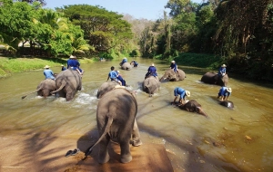 2 jours autour de Lampang : Immersion Culturelle et Naturelle