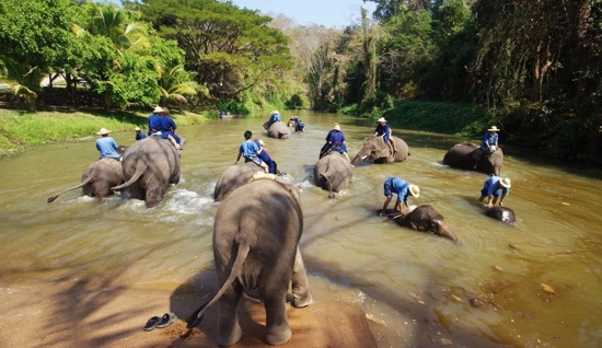 2 jours autour de Lampang : Immersion Culturelle et Naturelle