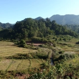 4 jours de randonnée à Phongsaly : Aventure au cœur des montagnes et des tribus Akha