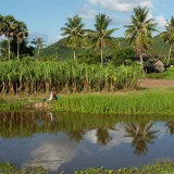 Visite Battambang 2 jours 1 nuit : Aventure authentique à la campagne cambodgienne