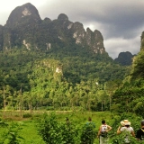 Découvrir la nature de Khao Sok 5 jours : Vivre dans la jungle