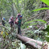 Randonnée 3 jours à Ratanakiri : Une exploration sauvage au Parc National de Virachey