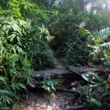 Visite à pied à Koh Kong 4 jours 3 nuits :  Écotourisme de la montagne Cardamome