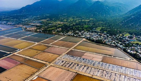 Une journée autour de Ninh Thuan - Découverte culturelle et naturelle de Panduranga