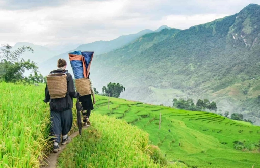 Top 10 attractions pour faire le trekking au Nord du Vietnam