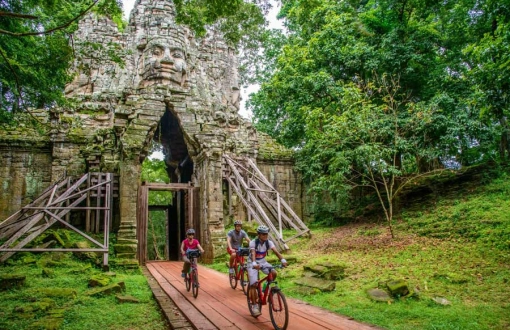 Que faire au Cambodge en décembre : Guide complet pour une aventure inoubliable