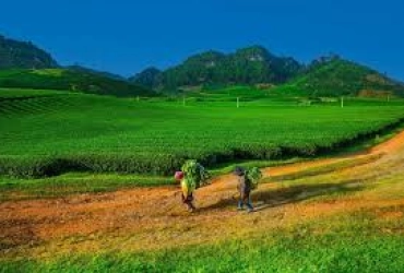 Mai Chau – Forêt de pins du village Ang – Cascade Dai Yem – Grotte de Bat (B/L/D)