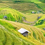 Hanoi - Mai Chau - Moc Chau 3 jours : Traditions et paysages magnifiques