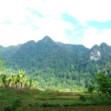 Trek au Parc national de Xuan Son 2 jours 1 nuits : Une aventure naturelle