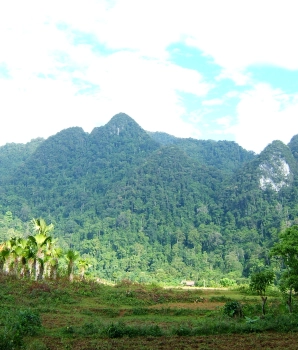 Trek au Parc national de Xuan Son 2 jours 1 nuits : Une aventure naturelle