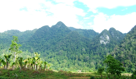 Trek au Parc national de Xuan Son 2 jours 1 nuits : Une aventure naturelle