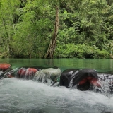 Trek au Parc national de Xuan Son 2 jours 1 nuits : Une aventure naturelle