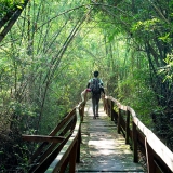 Parc national de Cat Tien 3 jours: Secrets de la nature vietnamienne