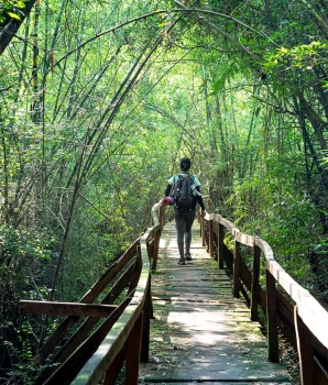 Parc national de Cat Tien 3 jours: Secrets de la nature vietnamienne