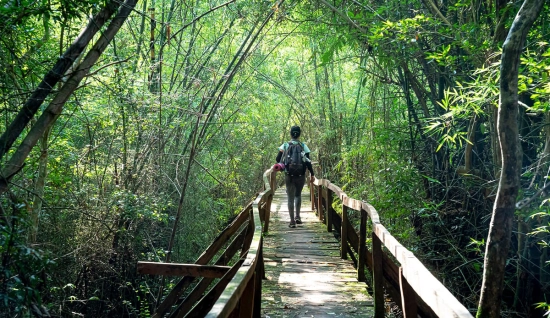 Parc national de Cat Tien 3 jours: Secrets de la nature vietnamienne